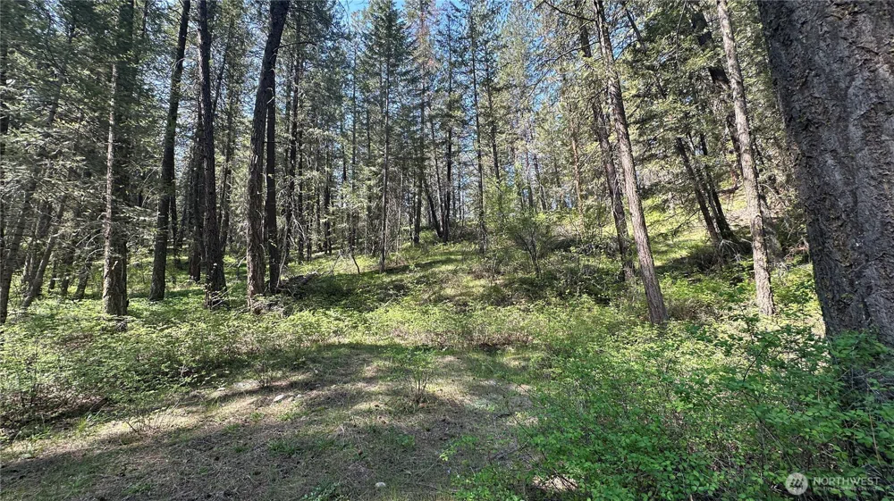 13 Sundance Lane Winthrop, WA 98862