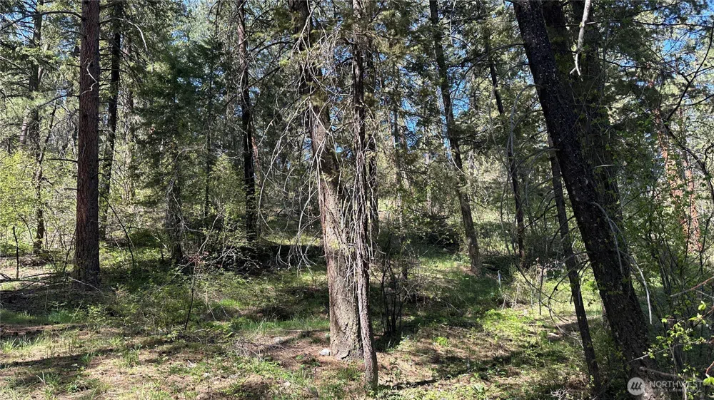 13 Sundance Lane Winthrop, WA 98862