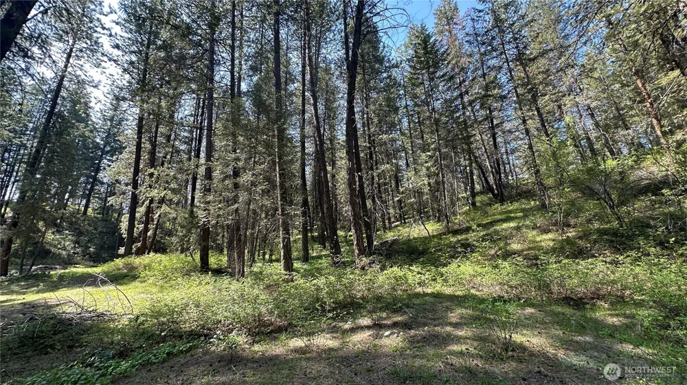 13 Sundance Lane Winthrop, WA 98862
