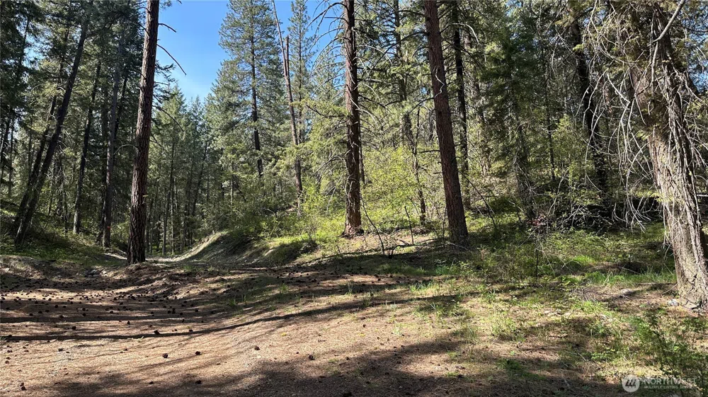 13 Sundance Lane Winthrop, WA 98862