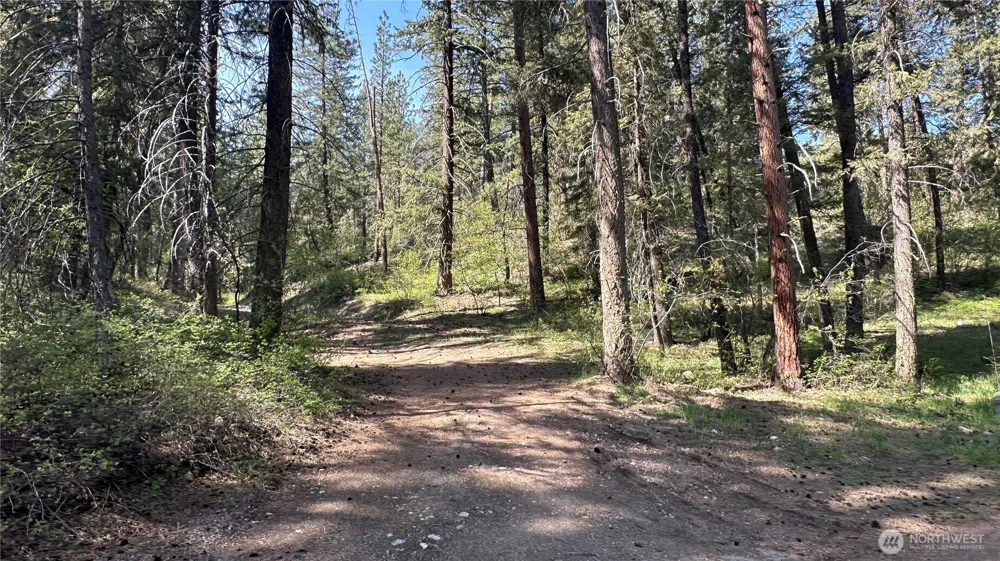 13 Sundance Lane Winthrop, WA 98862
