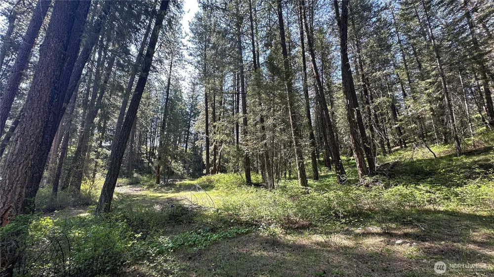 13 Sundance Lane Winthrop, WA 98862