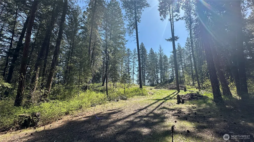 13 Sundance Lane Winthrop, WA 98862