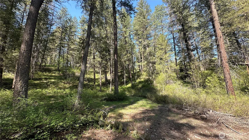 13 Sundance Lane Winthrop, WA 98862