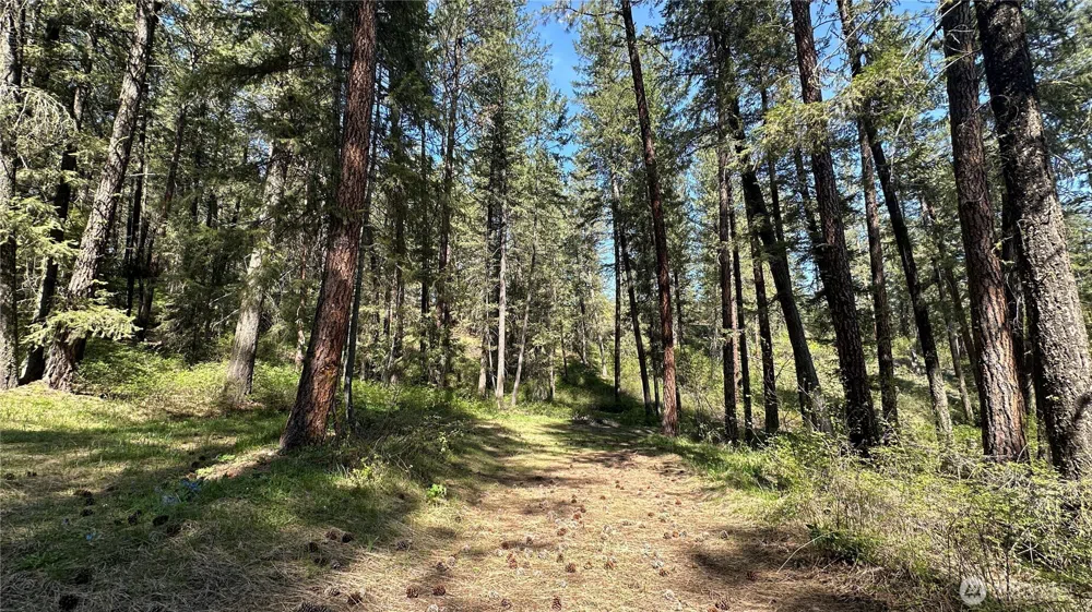 13 Sundance Lane Winthrop, WA 98862