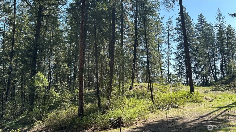 13 Sundance Lane Winthrop, WA 98862
