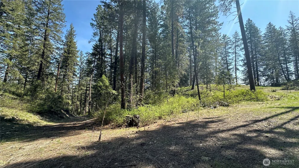 13 Sundance Lane Winthrop, WA 98862
