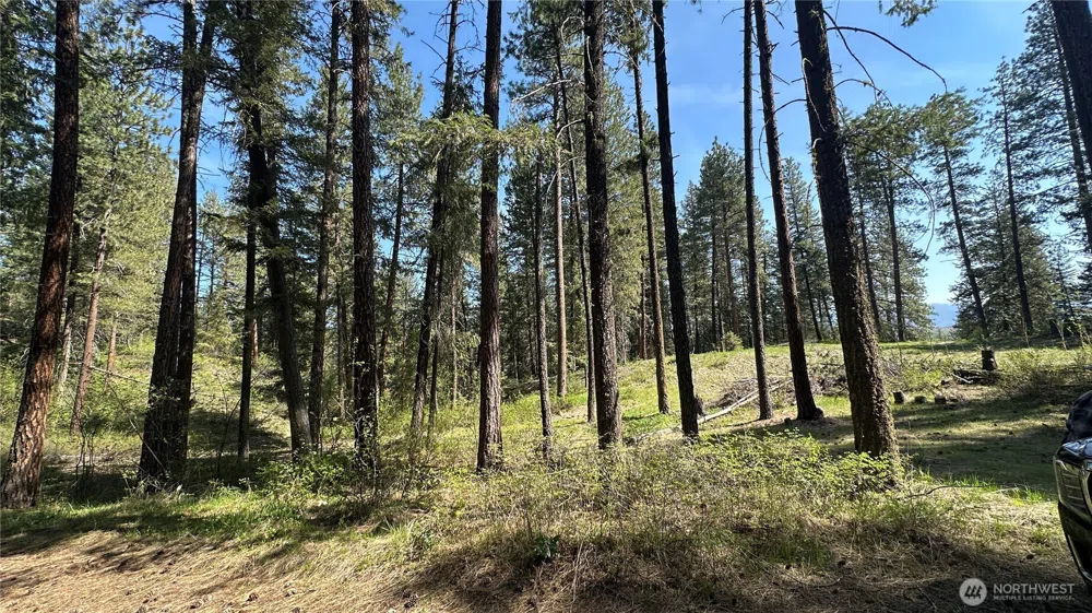 13 Sundance Lane Winthrop, WA 98862