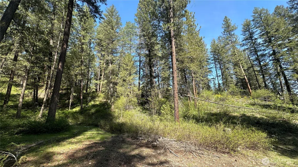 13 Sundance Lane Winthrop, WA 98862