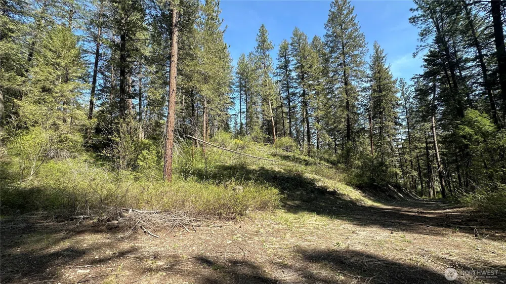 13 Sundance Lane Winthrop, WA 98862