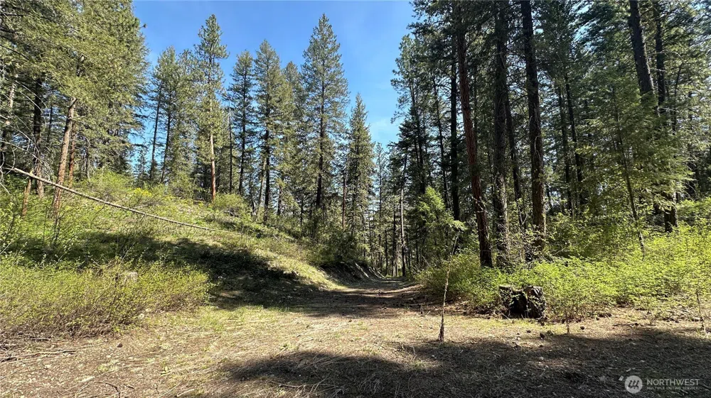 13 Sundance Lane Winthrop, WA 98862