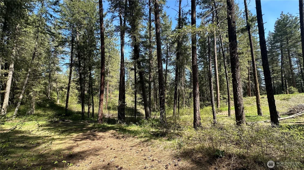 13 Sundance Lane Winthrop, WA 98862