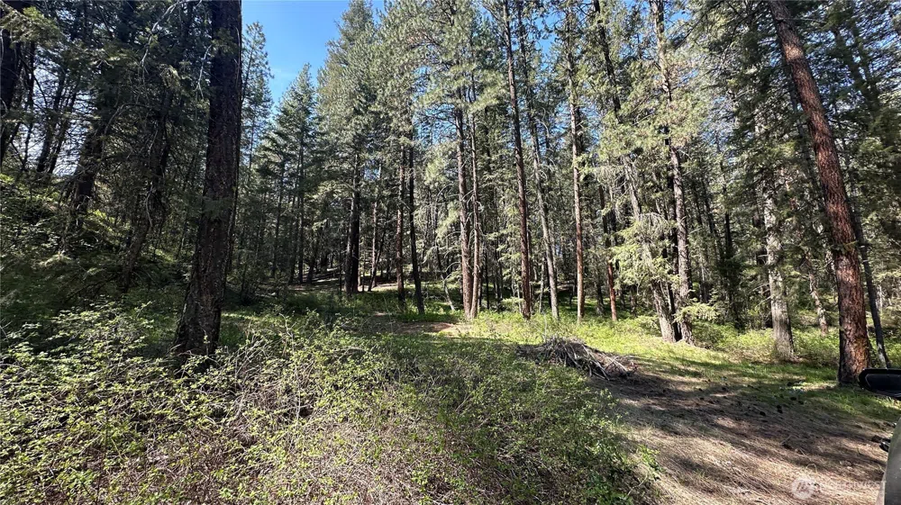 13 Sundance Lane Winthrop, WA 98862