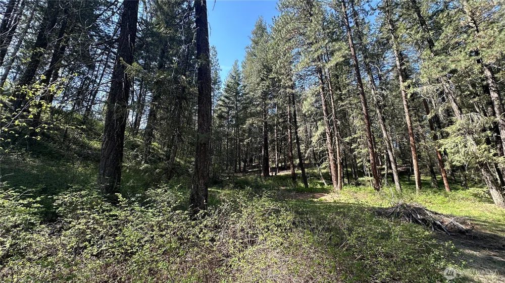 13 Sundance Lane Winthrop, WA 98862