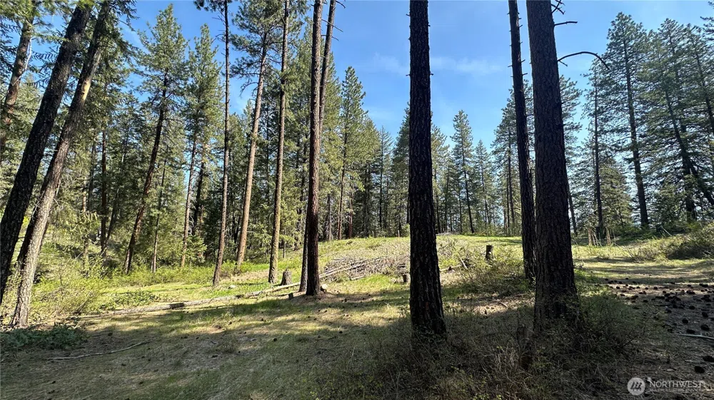 13 Sundance Lane Winthrop, WA 98862