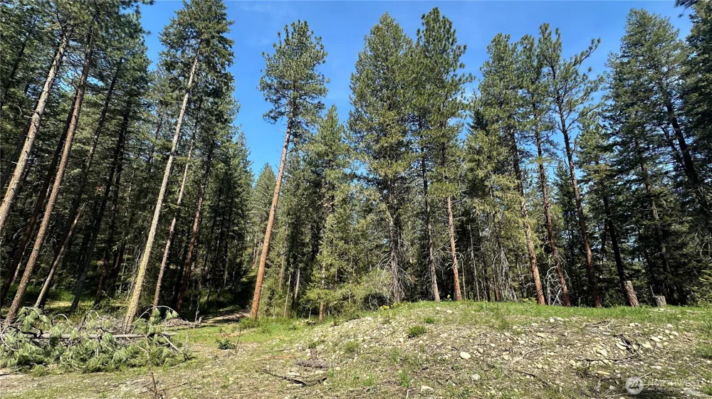 13 Sundance Lane Winthrop, WA 98862