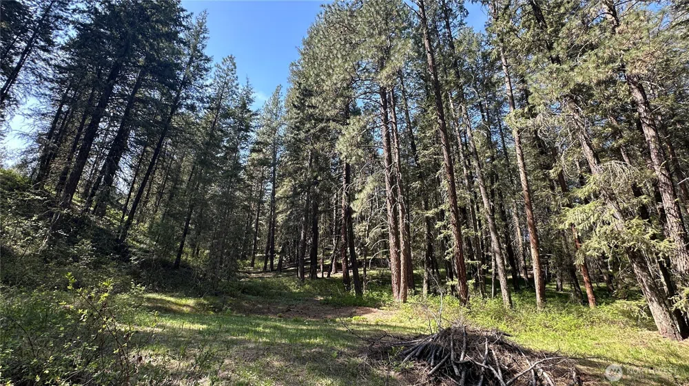 13 Sundance Lane Winthrop, WA 98862