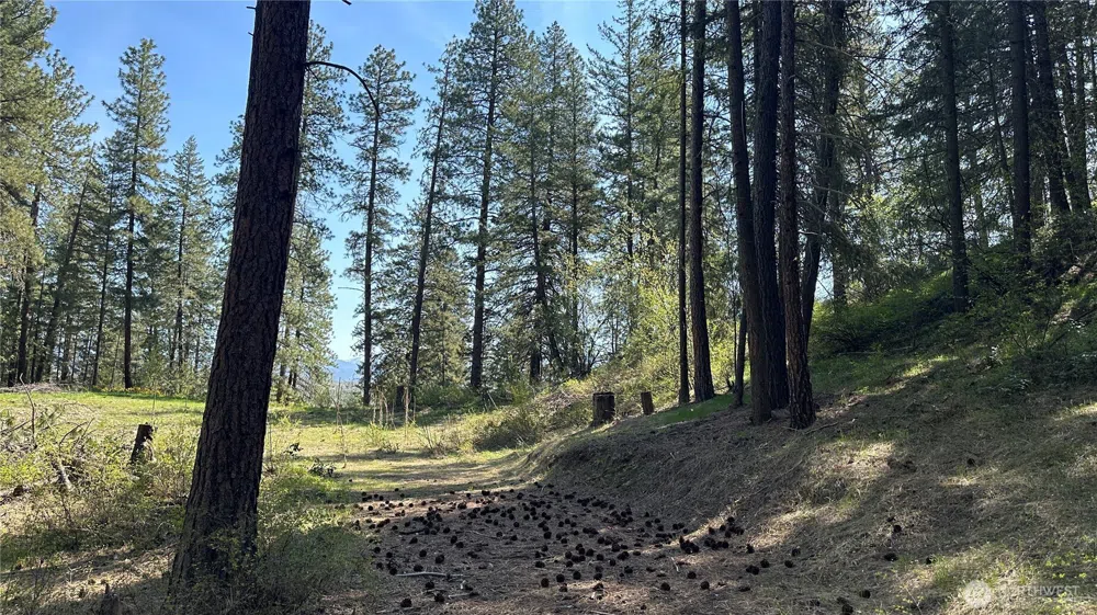 13 Sundance Lane Winthrop, WA 98862