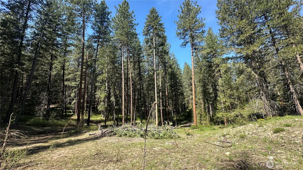 13 Sundance Lane Winthrop, WA 98862