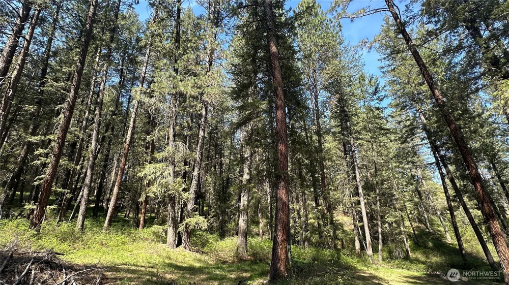 13 Sundance Lane Winthrop, WA 98862