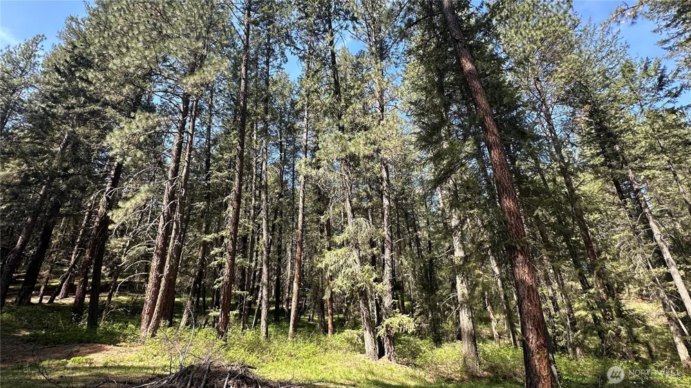 13 Sundance Lane Winthrop, WA 98862