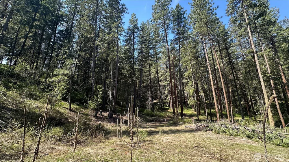 13 Sundance Lane Winthrop, WA 98862