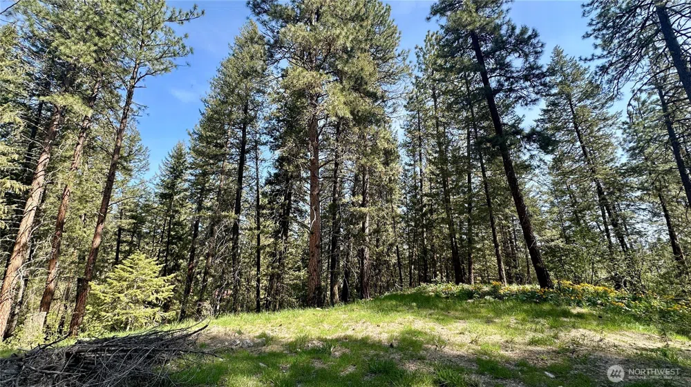 13 Sundance Lane Winthrop, WA 98862