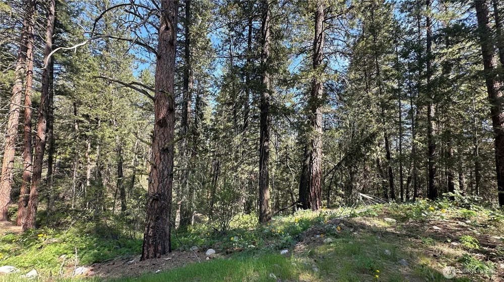 13 Sundance Lane Winthrop, WA 98862