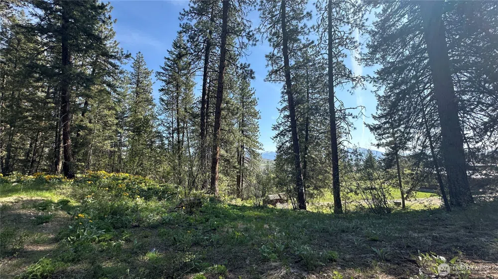 13 Sundance Lane Winthrop, WA 98862