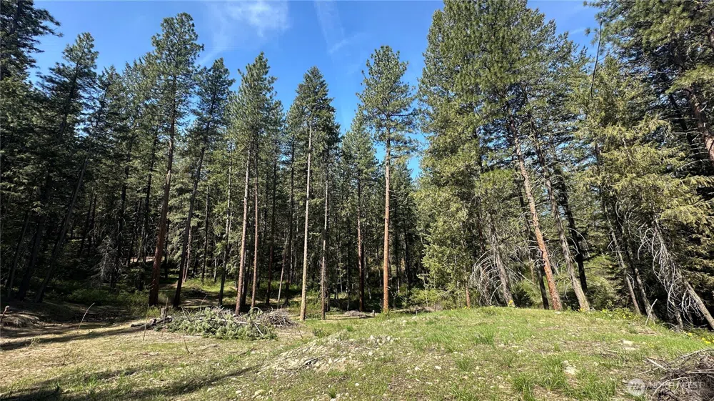 13 Sundance Lane Winthrop, WA 98862