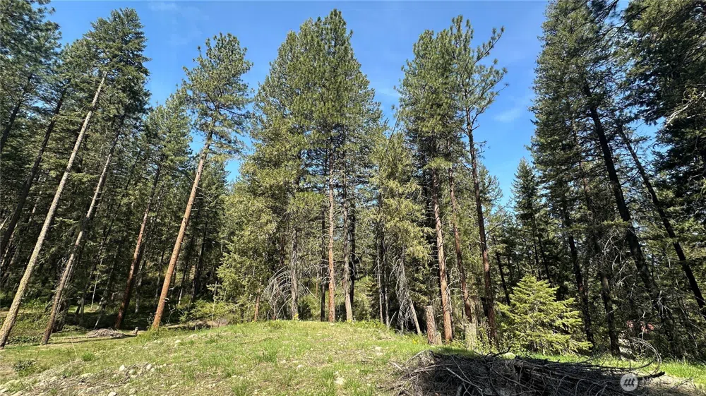 13 Sundance Lane Winthrop, WA 98862