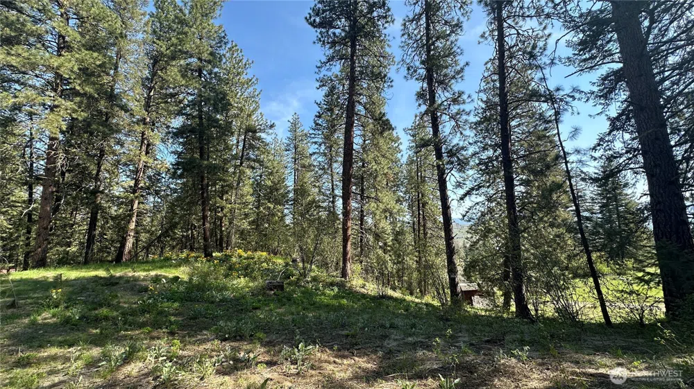 13 Sundance Lane Winthrop, WA 98862