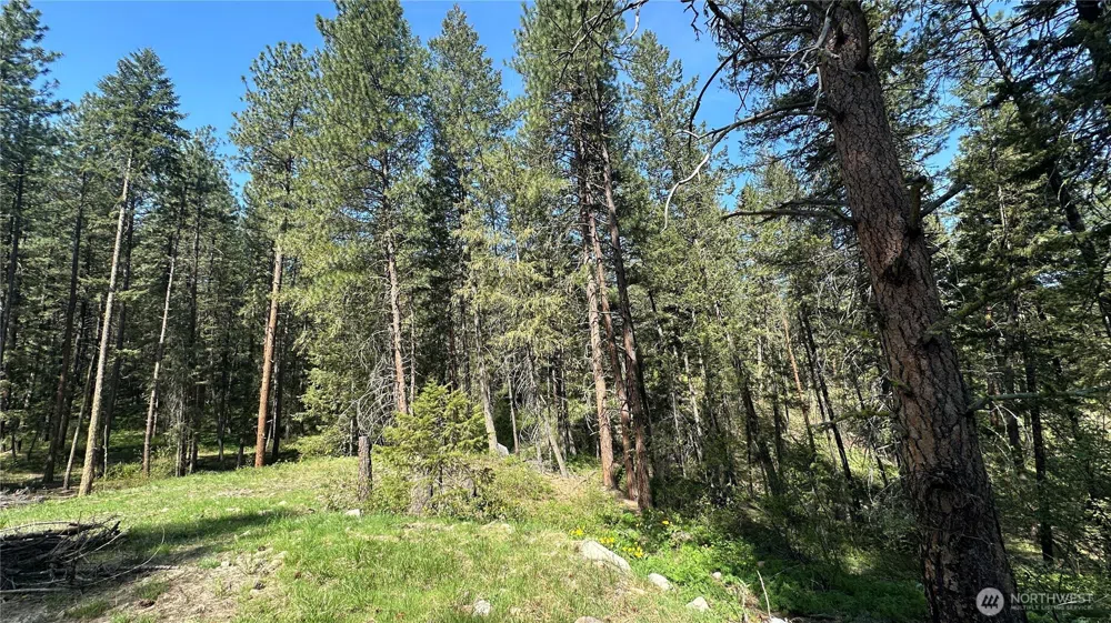 13 Sundance Lane Winthrop, WA 98862