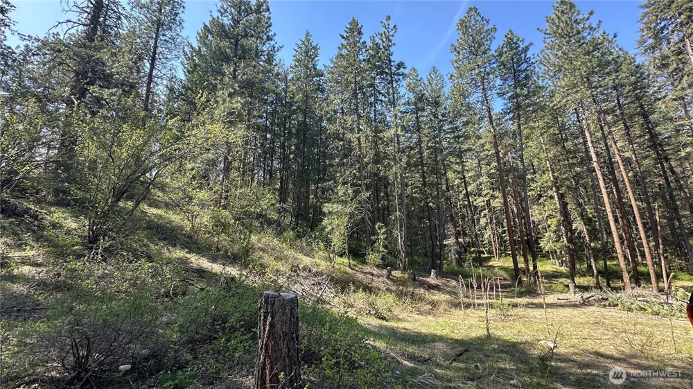 13 Sundance Lane Winthrop, WA 98862