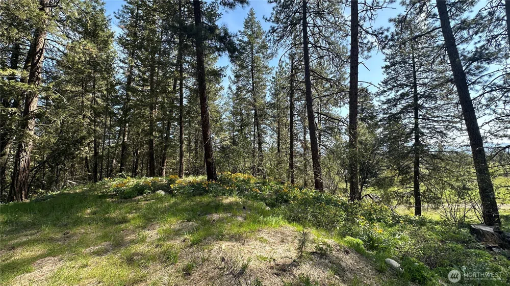 13 Sundance Lane Winthrop, WA 98862
