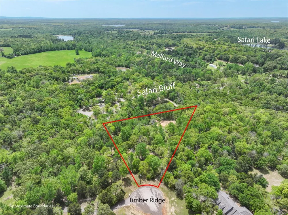 8950 Timber Ridge Lane Larue, TX 75770