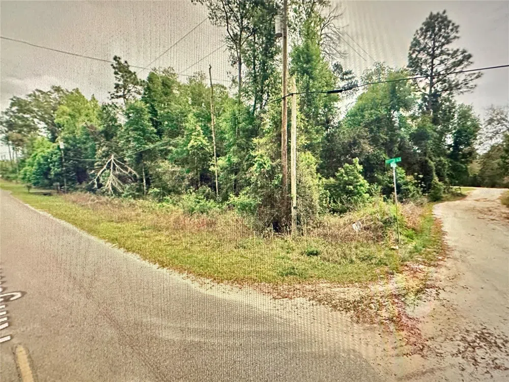 219 KINGSTON BOULEVARD Satsuma, FL 32189