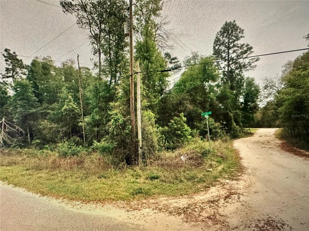 219 KINGSTON BOULEVARD Satsuma, FL 32189