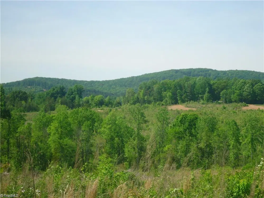 0 Farmer Denton Road Denton, NC 27239