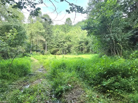 00 Elk Creek Darby Road