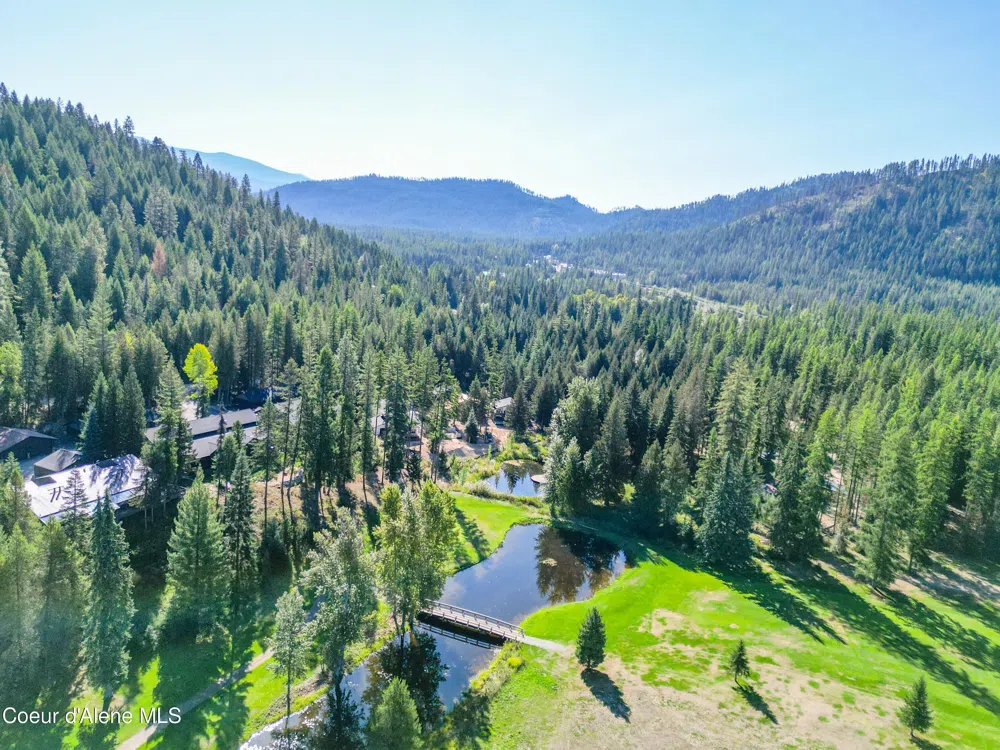70 Wedge Court Priest Lake, ID 83856