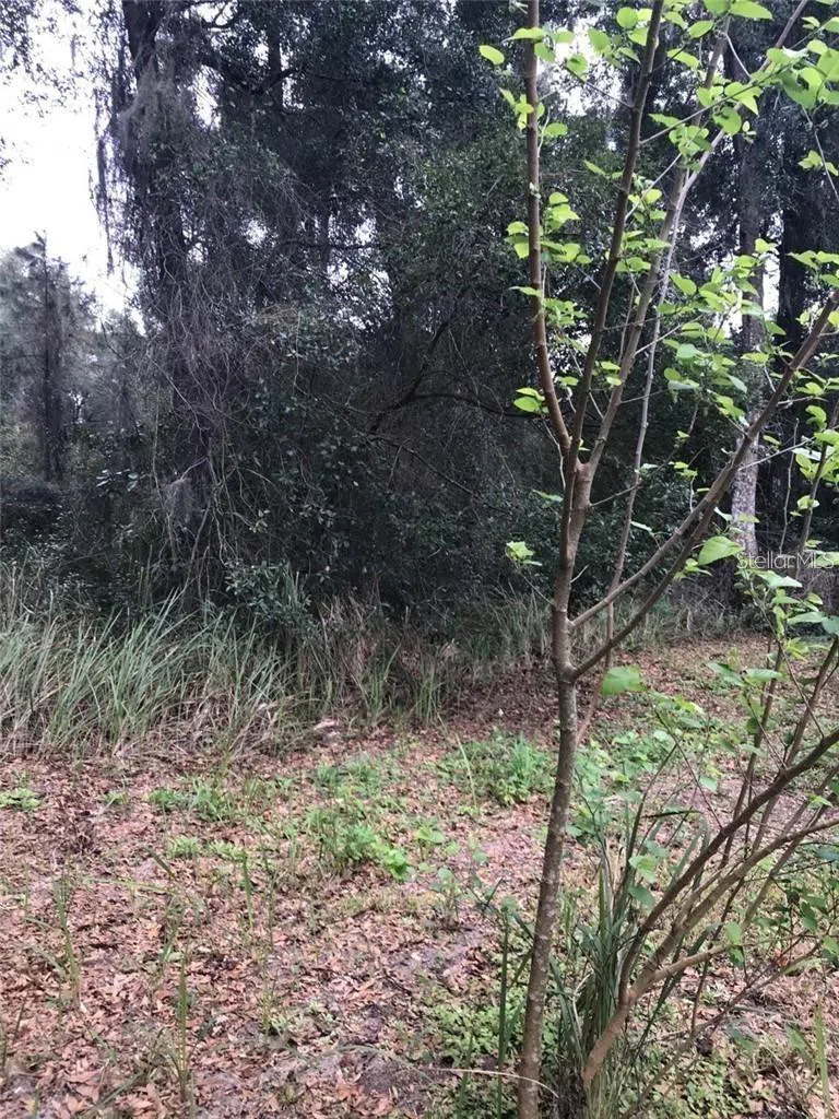 260 MERCERS FERNERY ROAD Deland, FL 32720