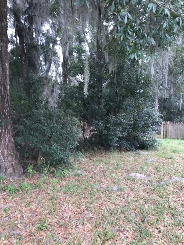 260 MERCERS FERNERY ROAD Deland, FL 32720