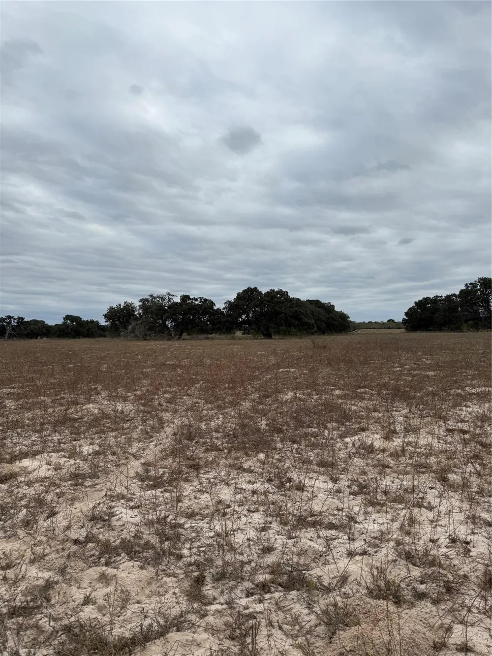 3737 Bruce Lot 9 Road Poteet, TX 78065