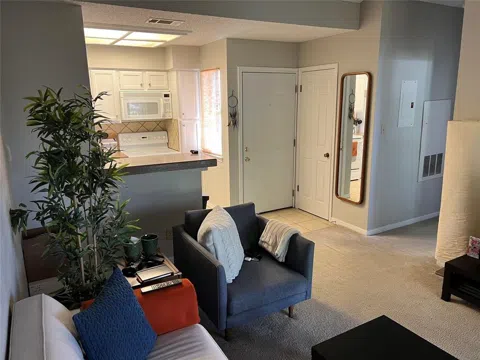 3111 Tom Green Street #301