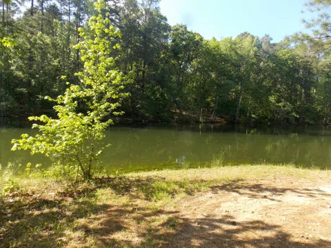 12 RIVERVIEW COURT