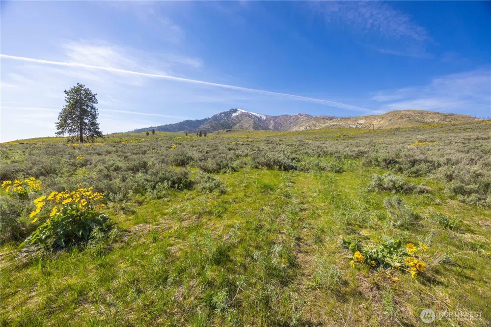 0 Goat Ridge Lot 7 - Hwy 153 #7 Pateros, WA 98846
