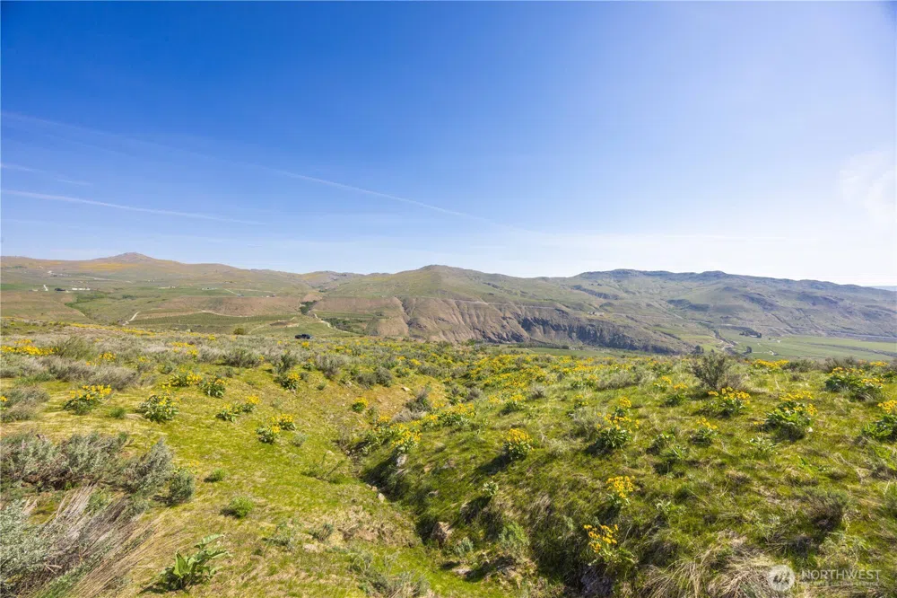 0 Goat Ridge Lot 7 - Hwy 153 #7 Pateros, WA 98846