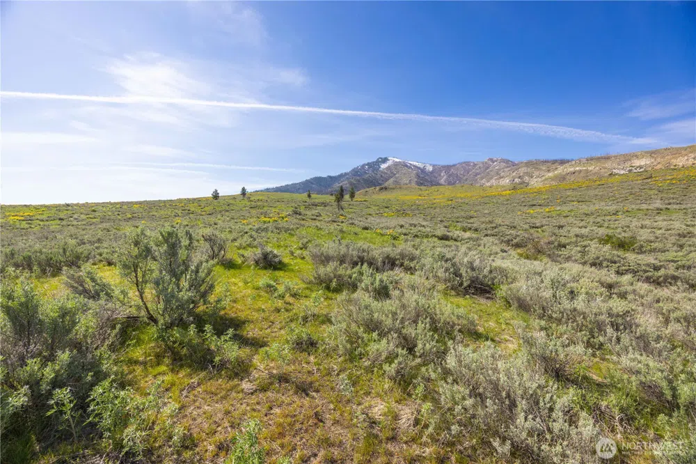 0 Goat Ridge Lot 7 - Hwy 153 #7 Pateros, WA 98846