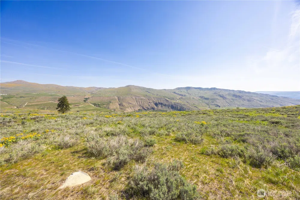 0 Goat Ridge Lot 7 - Hwy 153 #7 Pateros, WA 98846